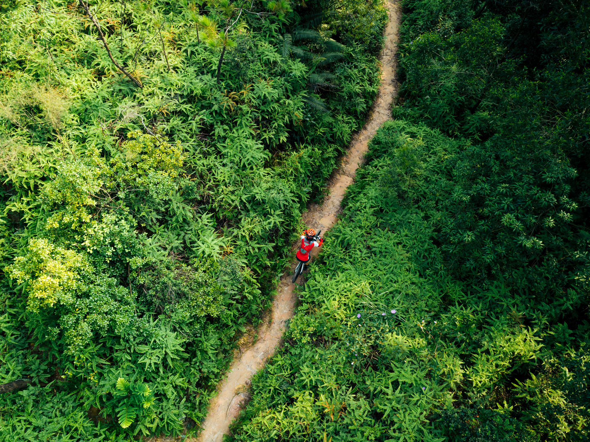 Overhead view of a bike trail