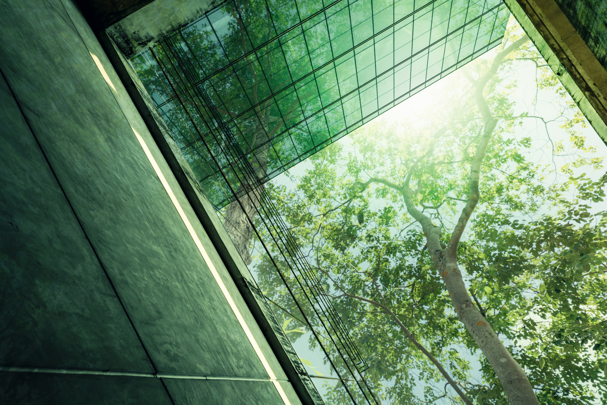Sustainable finance