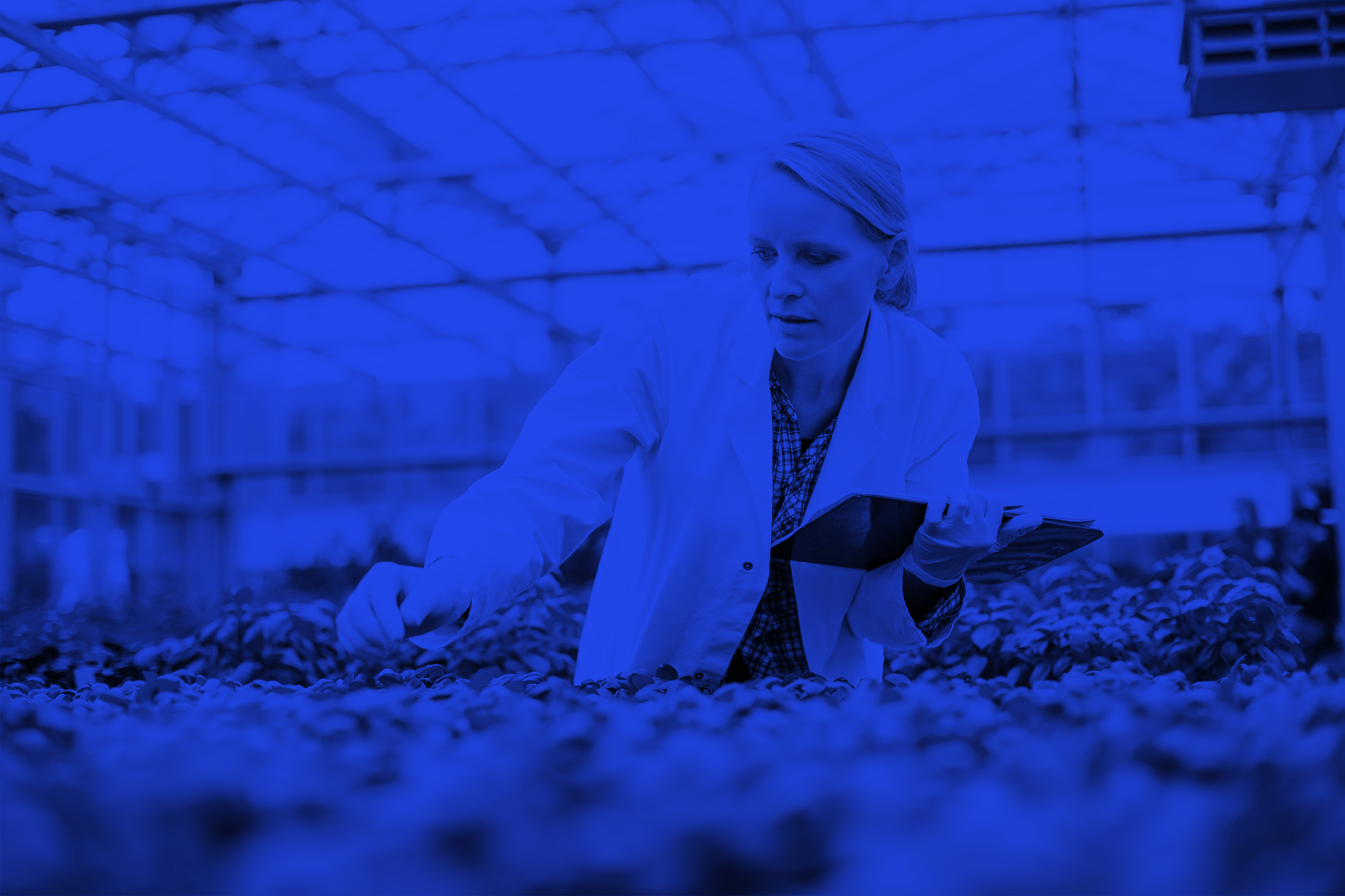 agriculture