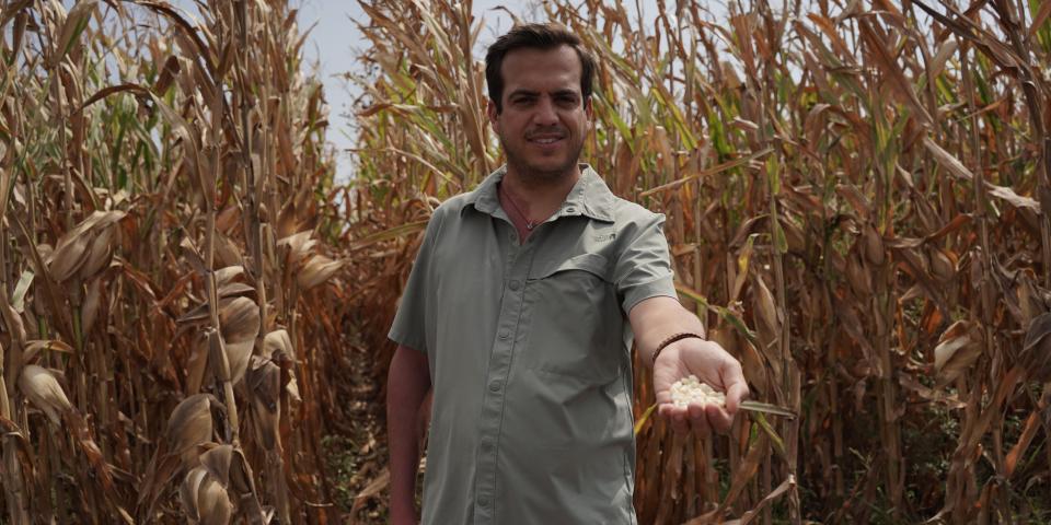 Person in a field with hand outstretched