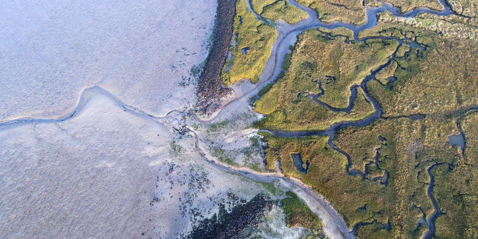 Dyke, salt marsh and coastline - aerial view