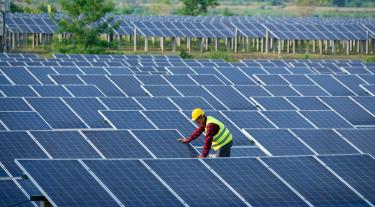 solar panels image